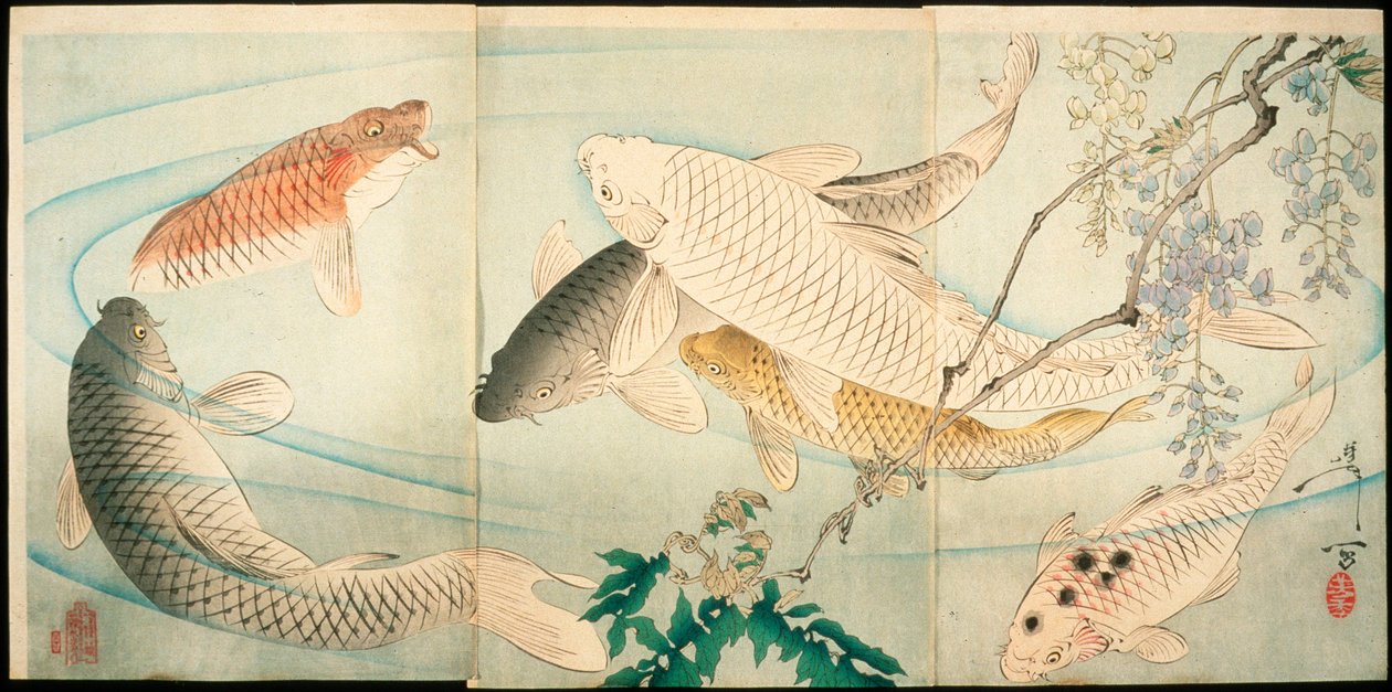 Karper met blauweregen door Tsukioka Yoshitoshi