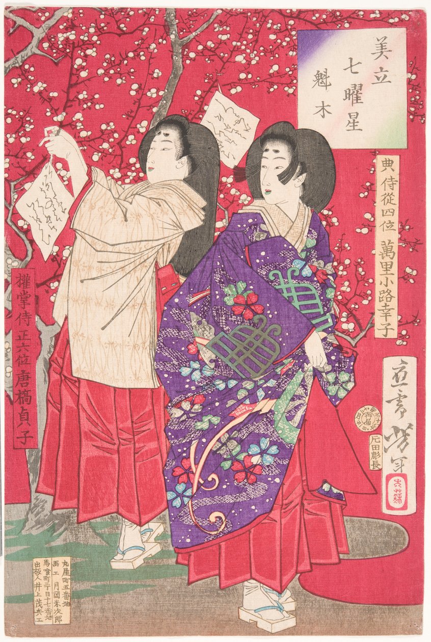 Hout voor de pruimenboom door Tsukioka Yoshitoshi