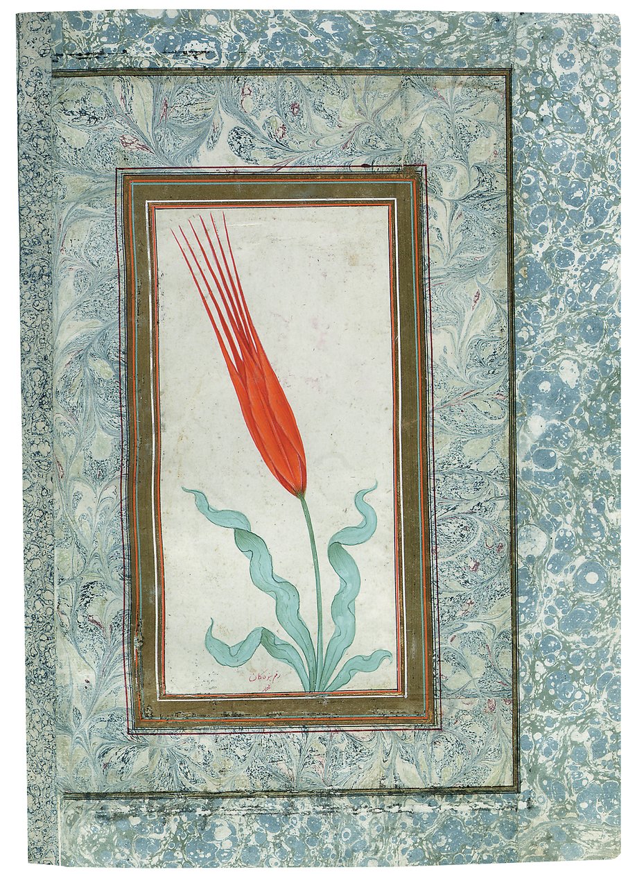 Pagina uit het Turkse Tulp-album, Istanbul, 1725 door Turkish School