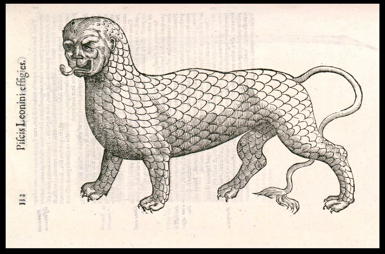 Monsterwezen: een leeuw bedekt met vissenschubben (of leeuwvis). Gravure door Ulisse Aldrovandi (1522-1605), 