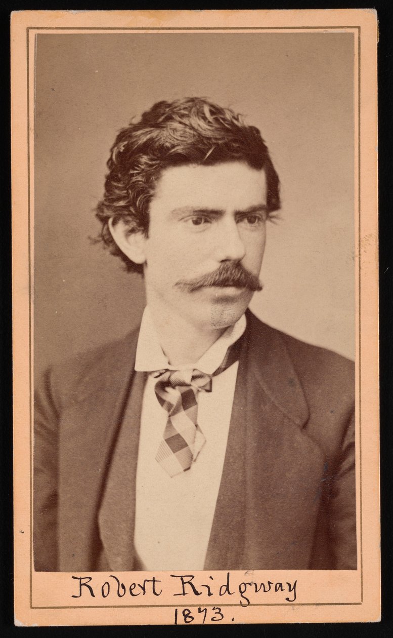 Portret van Robert Ridgway 1850-1929, april 1873 door Ulke Bros