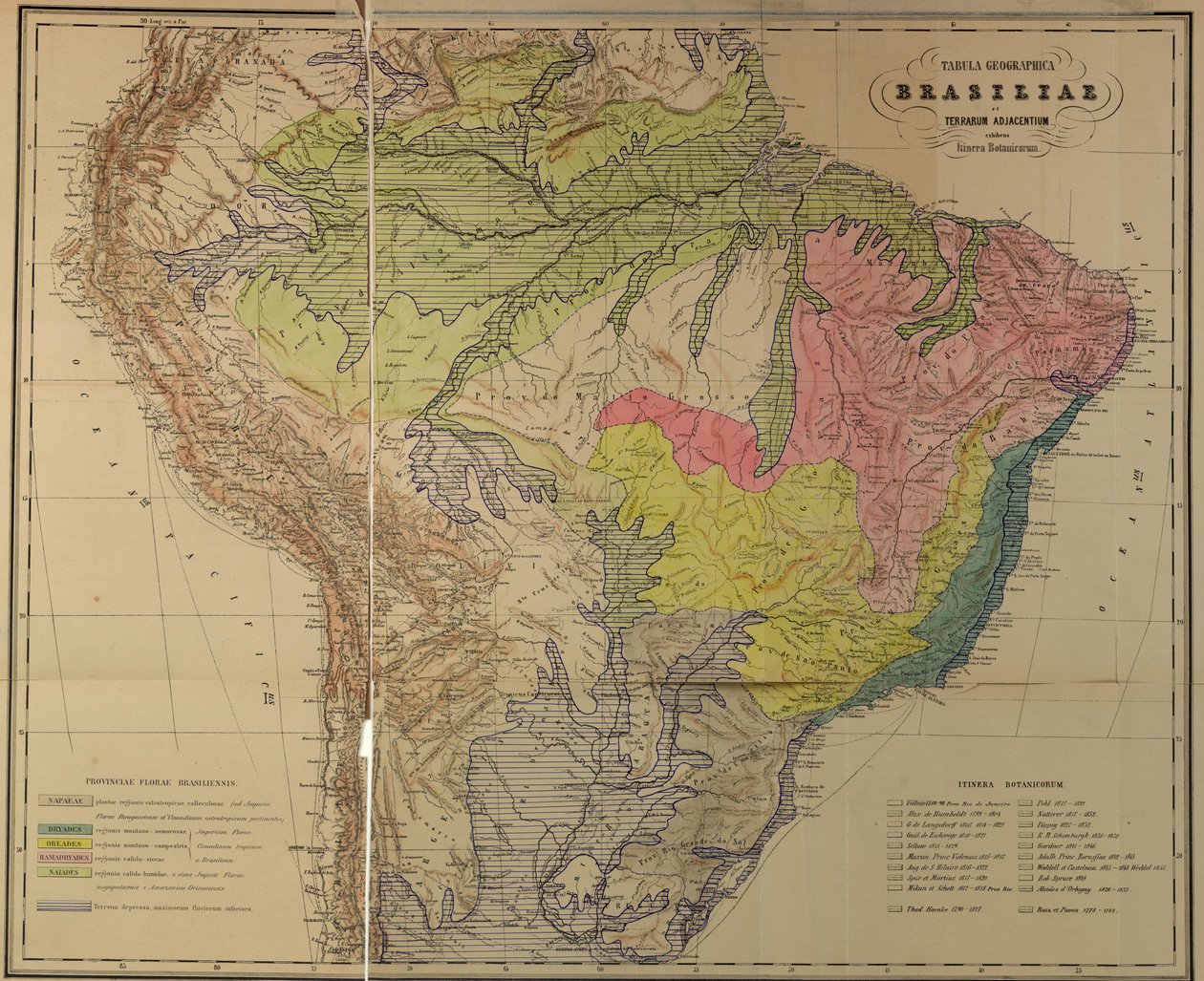 Kaart van de floristische provincies van Brazilië door Martius door Unbekannt Unbekannt