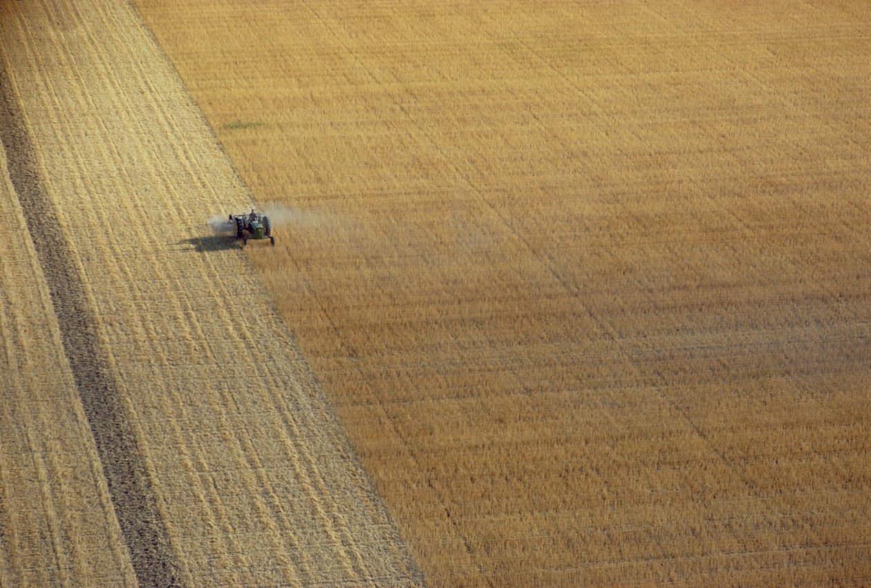 Een tractor aan het oogsten door Unbekannt Unbekannt
