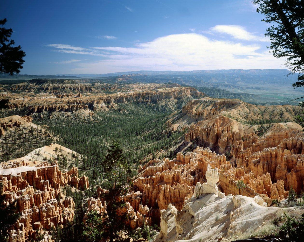 Bryce Canyon National Park, Utah door Unbekannt Unbekannt