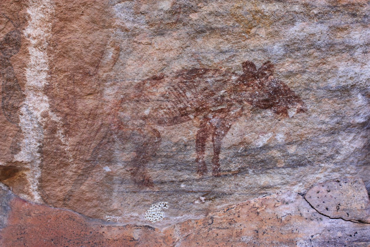Uitgestorven dier door Unbekannt Unbekannt