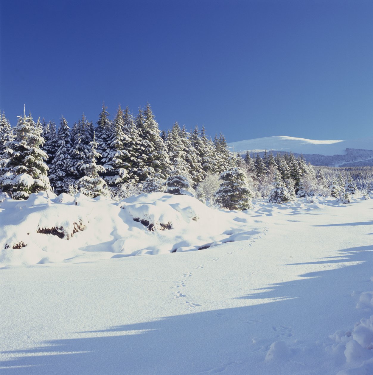 De Wicklow Mountains in de winter door Unbekannt Unbekannt