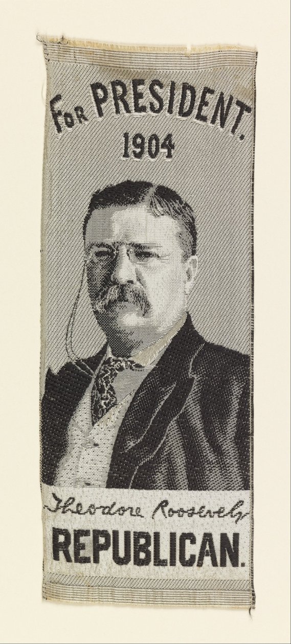 Theodore Roosevelt door Unbekannt Unbekannt
