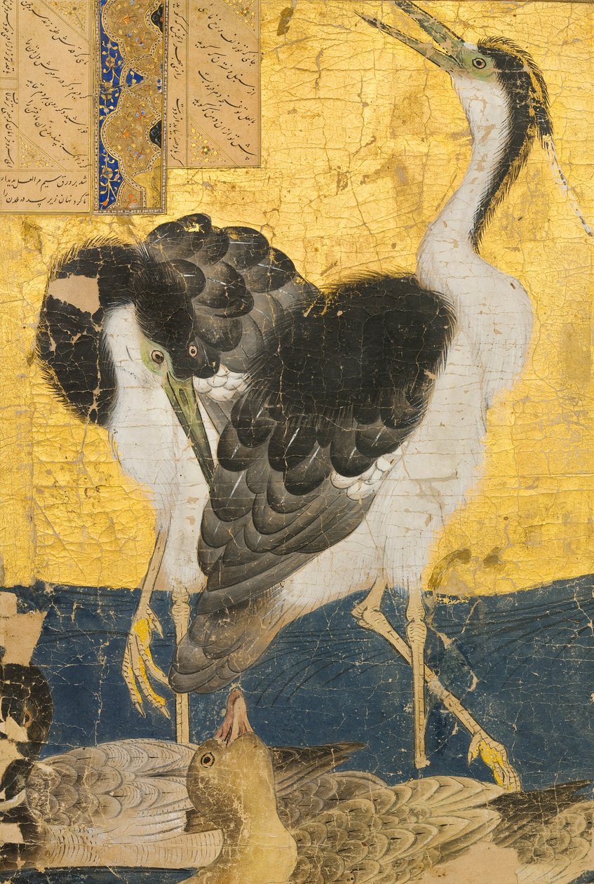 Twee reigers met eenden door Unbekannt Unbekannt