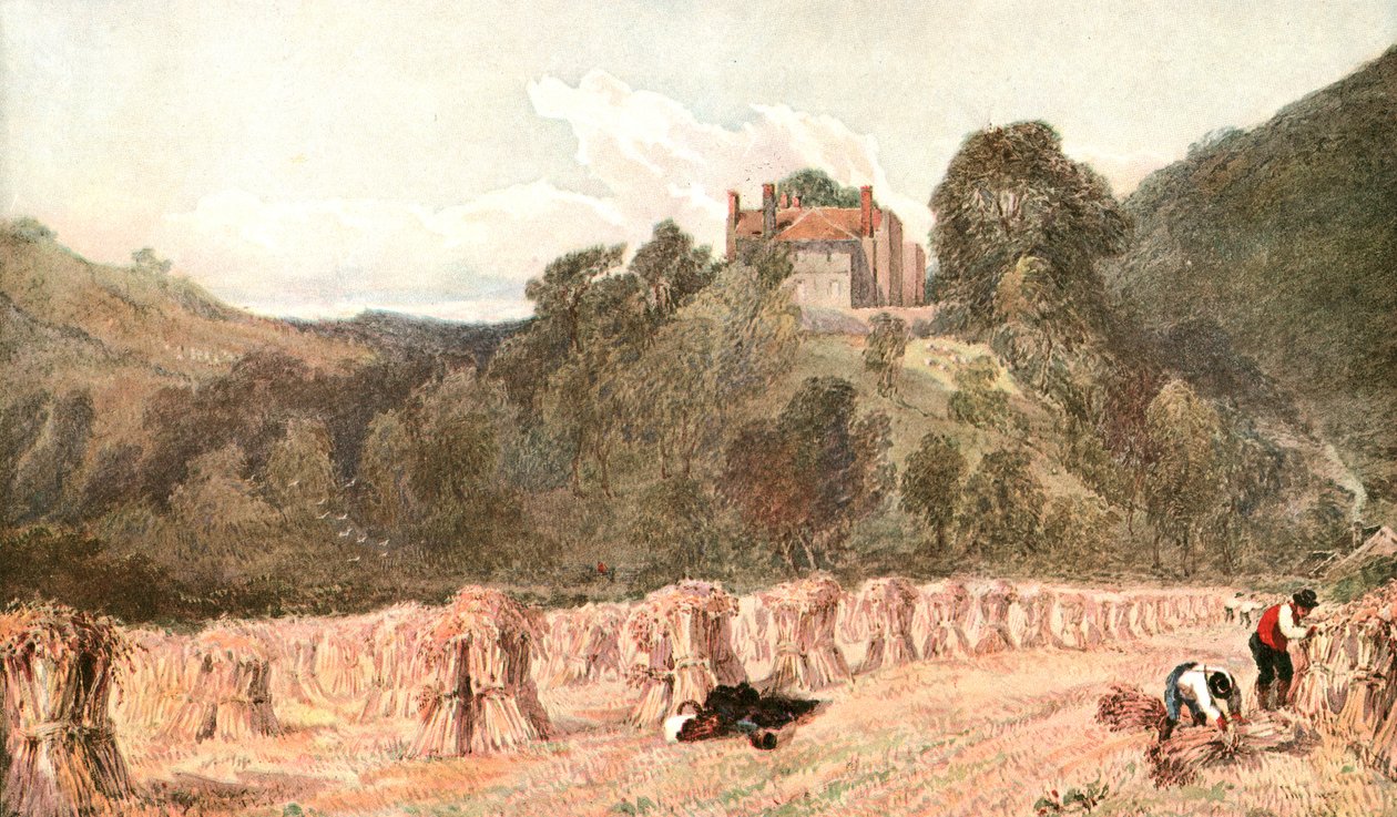 Een Korenveld, ca. 1840s, ca. 1900 door Unbekannt
