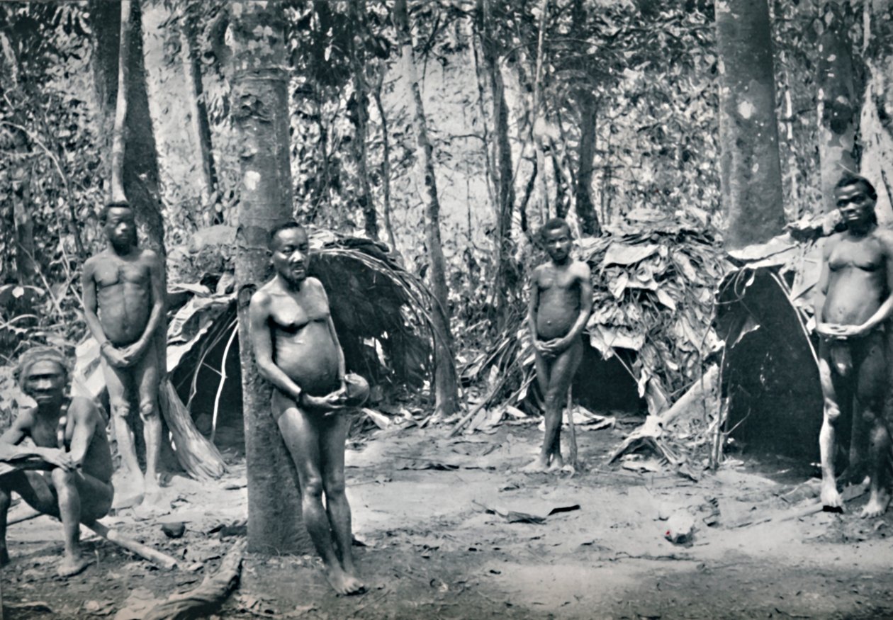 Een Pygmeeën dorp, Noordoost Congo Basin door Unbekannt