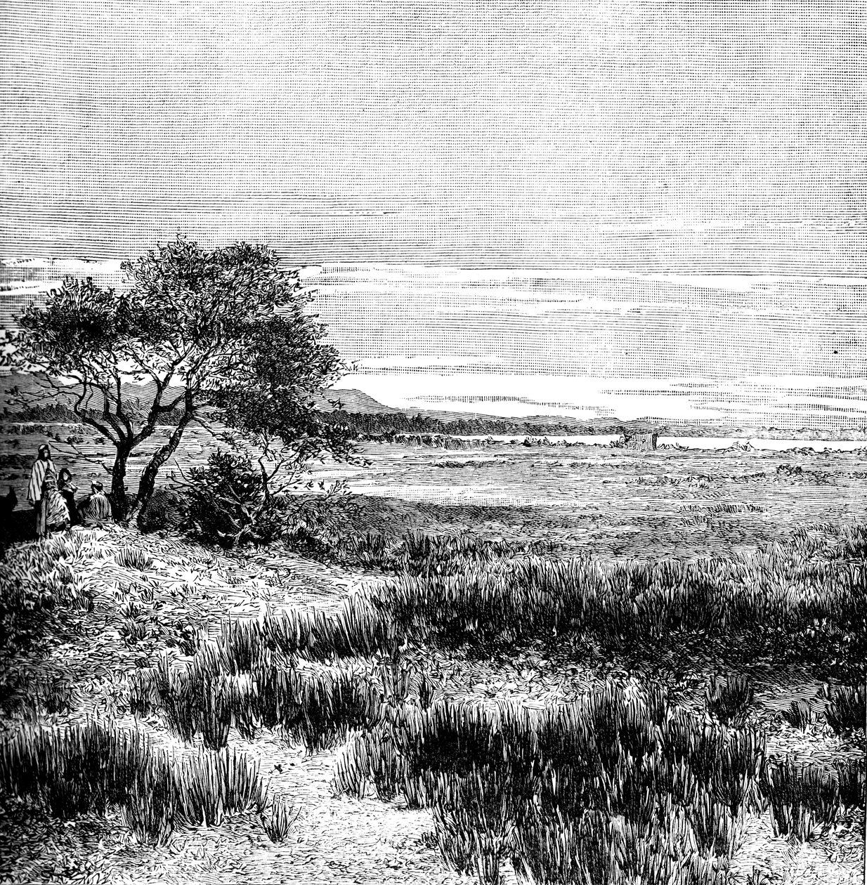 Agha Vallei, Centraal Pampa, Argentinië, 1895 door Unbekannt