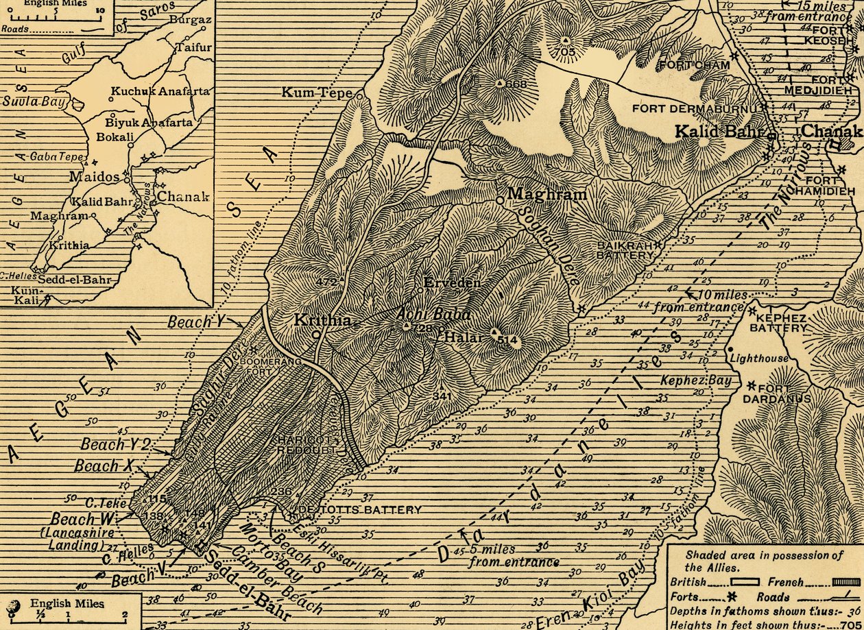 Geallieerde posities op het Gallipoli-schiereiland in Turkije, Eerste Wereldoorlog, juli 1915, ca. 1920 door Unbekannt