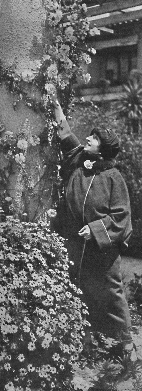 Amelita Galli-Curci - De grote diva die rozen plukt, haar favoriete bloemen door Unbekannt