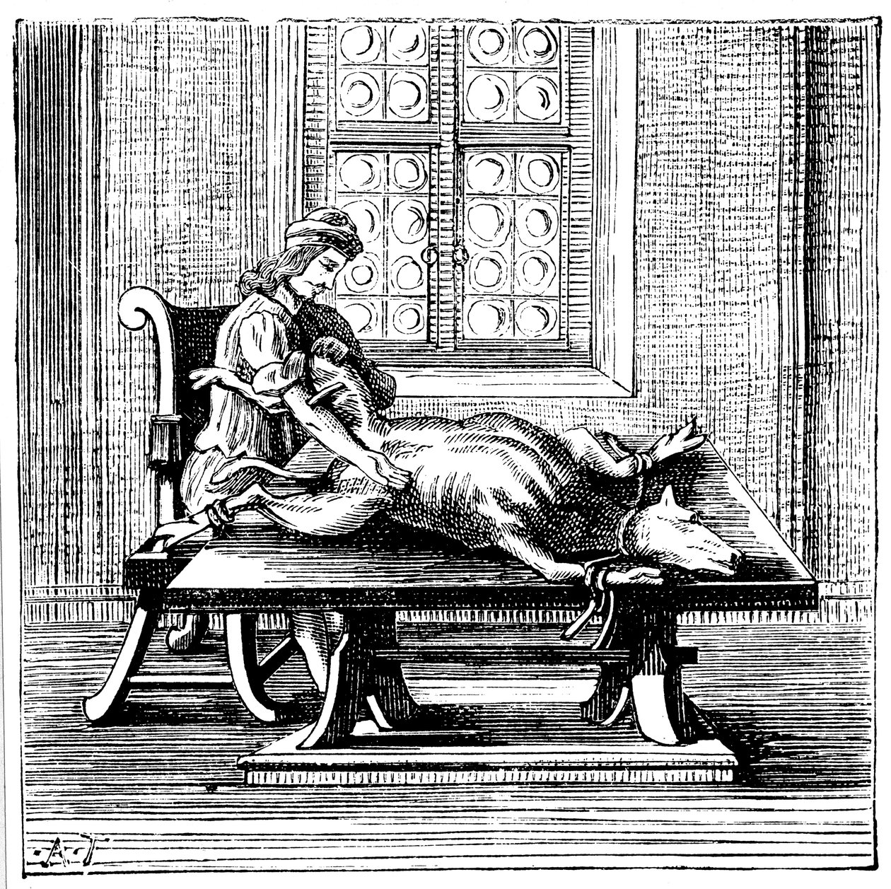 Dier-tot-mens bloedtransfusie, 1679 door Unbekannt