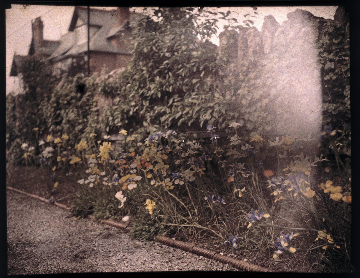 Autochroom van bloemen, ca. 1908 door Unbekannt