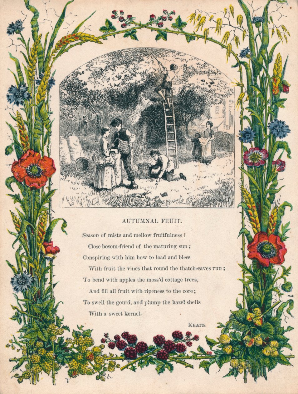 Herfstfruit door Keats, ca. 1900 door Unbekannt