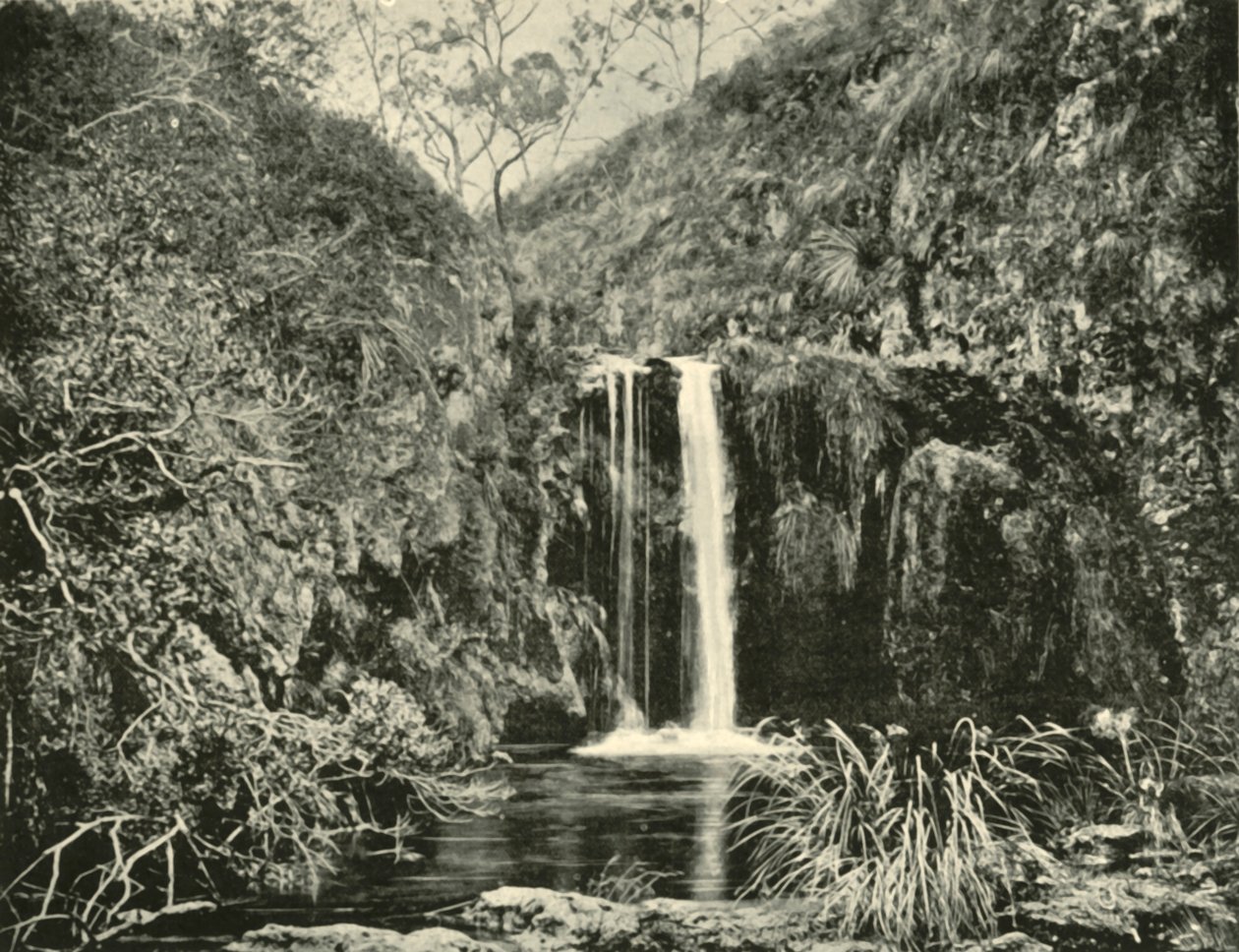 Back Creek Falls, Buchan River, Victoria, 1901 door Unbekannt