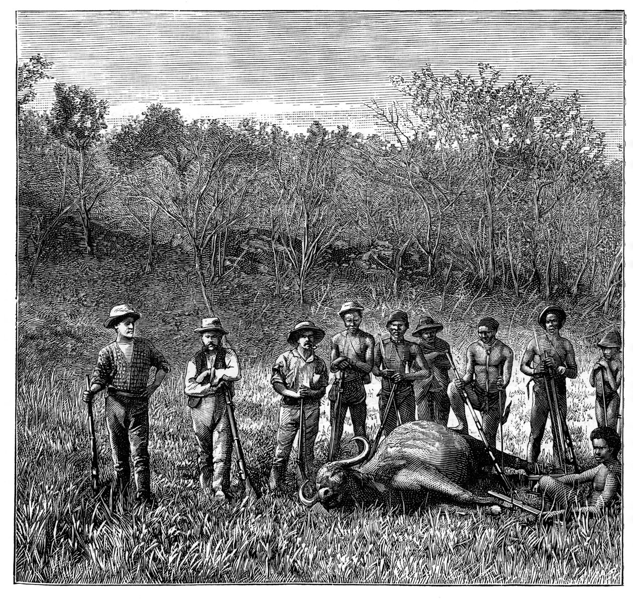 Buffeljagers in de Transvaal, Zuid-Afrika, c1890 door Unbekannt