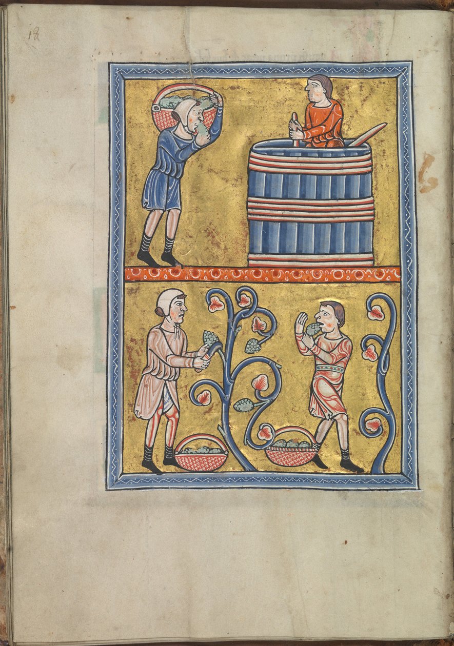 Kalender, september, mannen die druiven plukken en treden - Psalter van Eleanor van Aquitanië (ca. 1185) - KB 76 F 13, folium 009v door Unbekannt