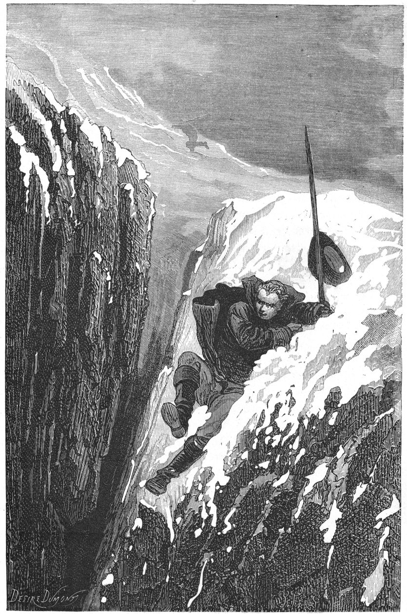 Carolus Linnaeus, 18e-eeuwse Zweedse wetenschapper en natuuronderzoeker, 1874 door Unbekannt