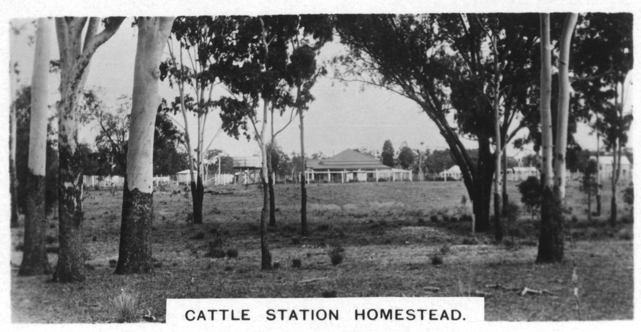 Veestation homestead, Australië, 1928 door Unbekannt