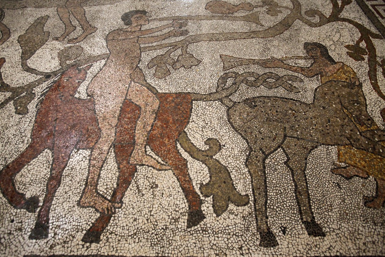 Mozaïek in het centrale schip op de vloer van de Otranto kathedraal: ruiters, Otranto, Italië door Unbekannt
