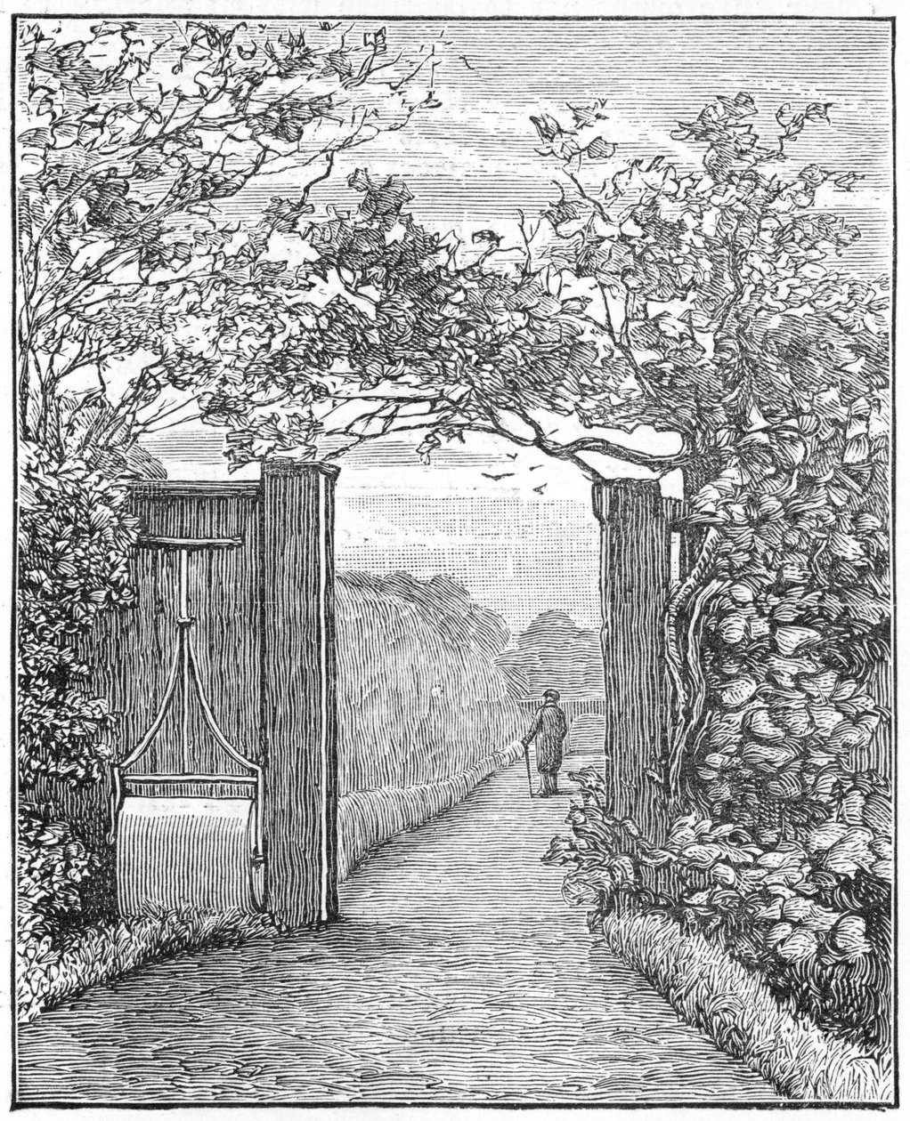 Charles Darwin in de zandwandeling bij Down House, ca. 1870 1887 door Unbekannt