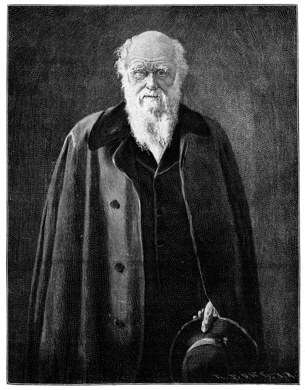 Charles Darwin, beroemde natuuronderzoeker en denker, 1900 door Unbekannt