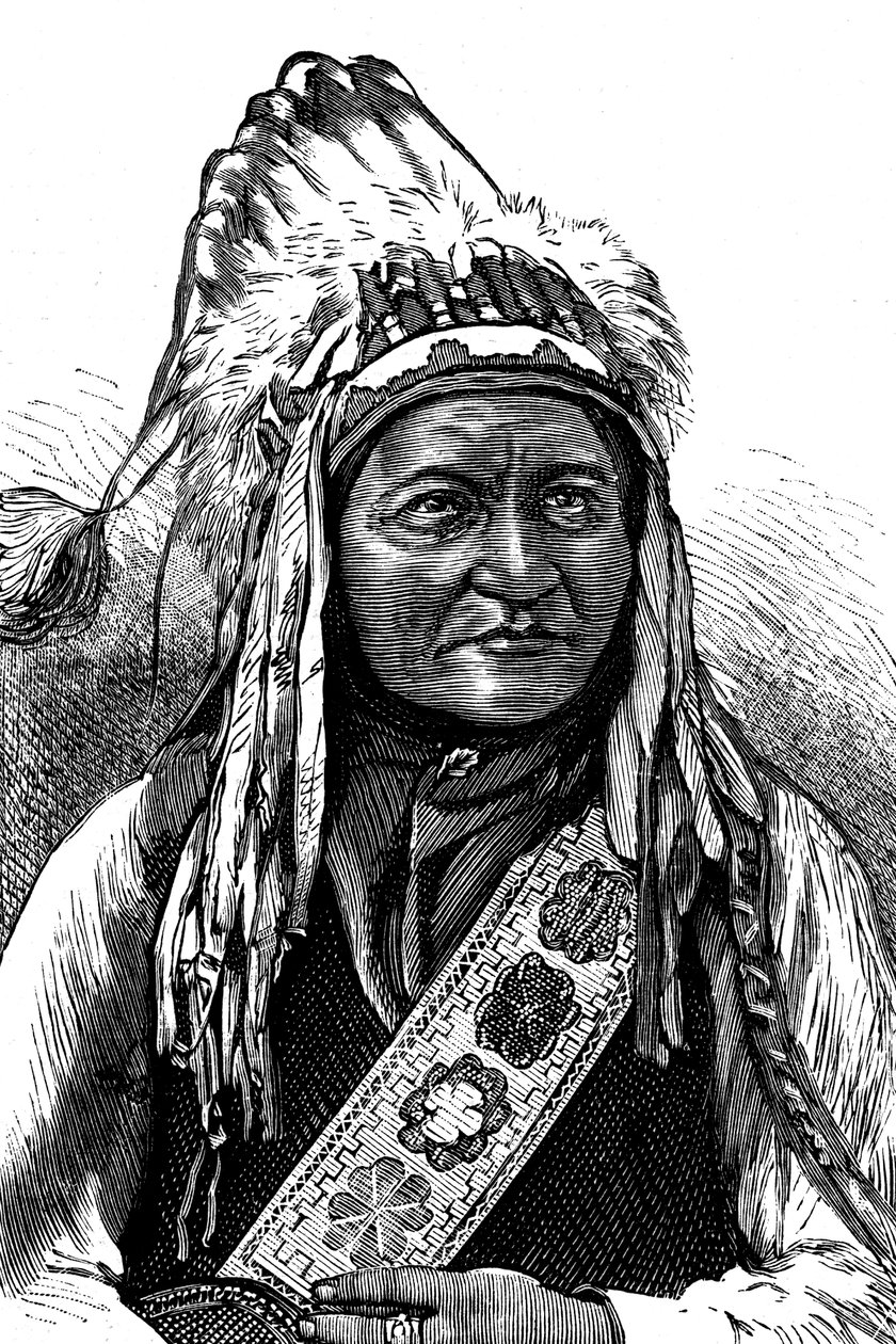 Opperhoofd Sitting Bull, Amerikaanse indiaan, 19e eeuw door Unbekannt