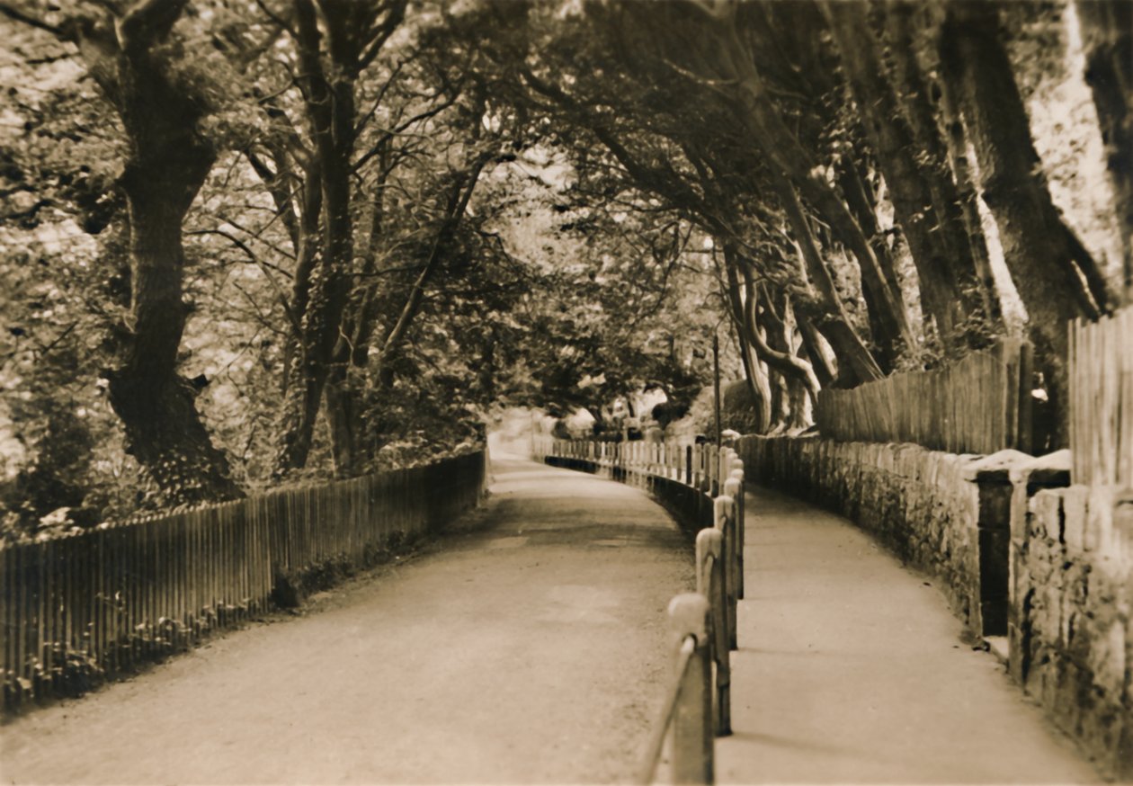 Chine Avenue, Shanklin, I.W., c1920 door Unbekannt