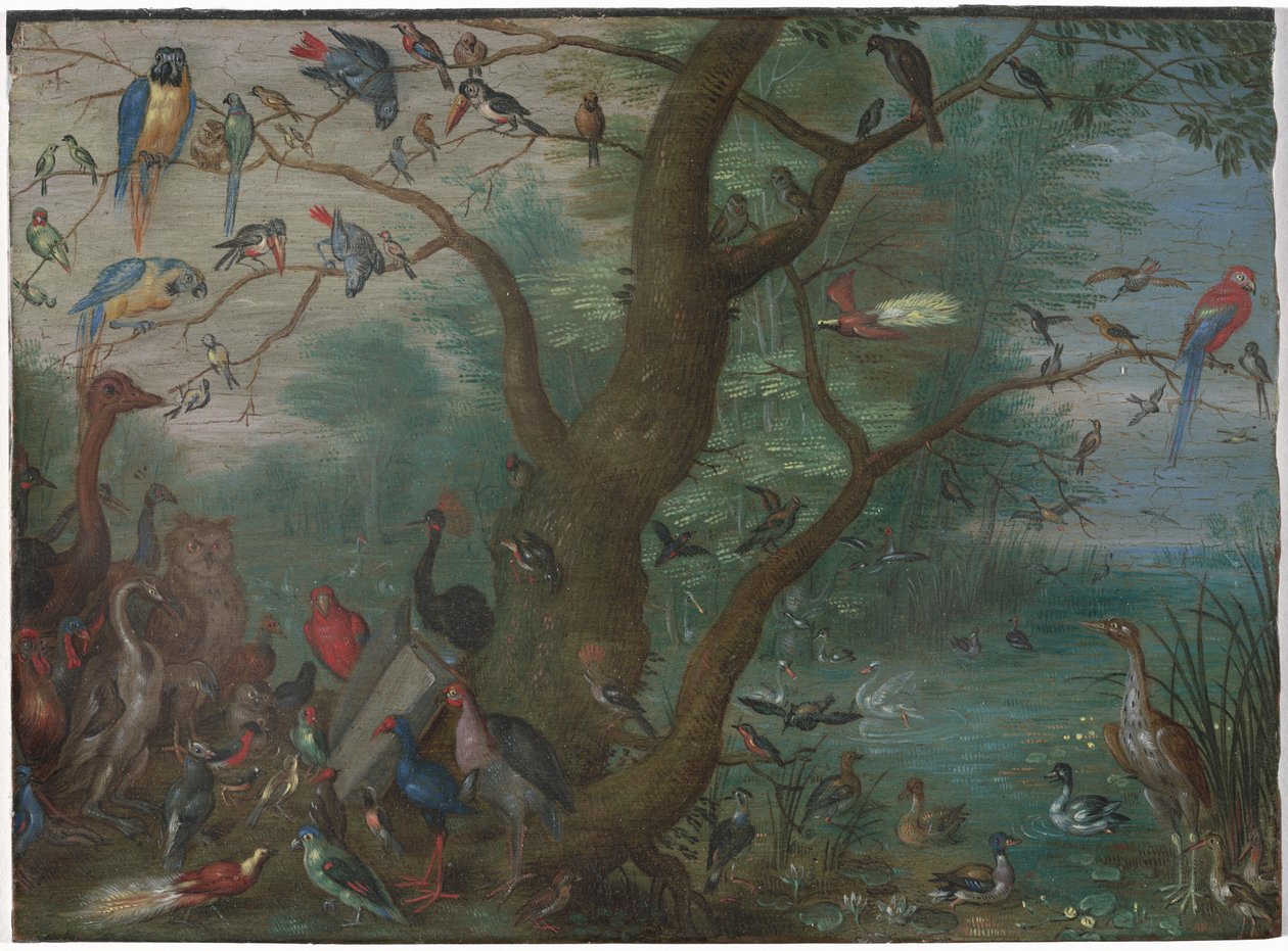 Concert van vogels, 1660-1670 door Unbekannt