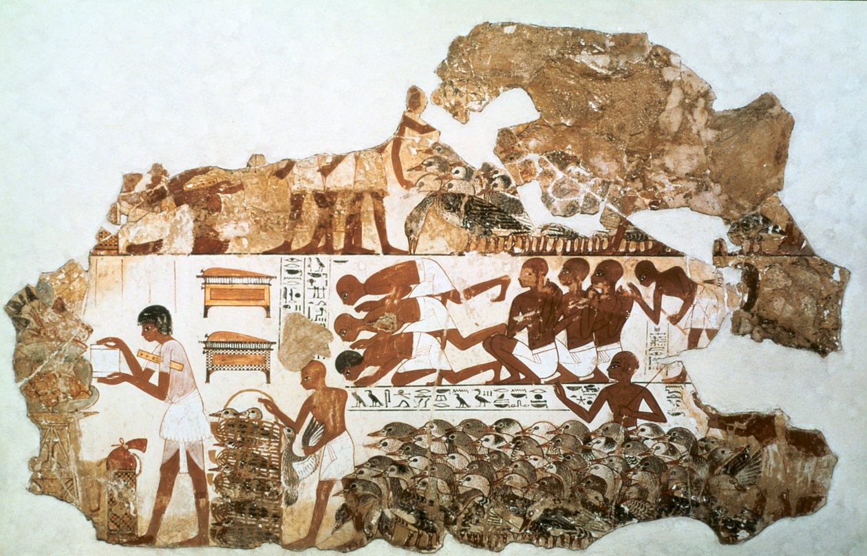 De ganzen tellen: fragment van muurschildering uit het graf van Nebamun, Thebe, Egypte door Unbekannt