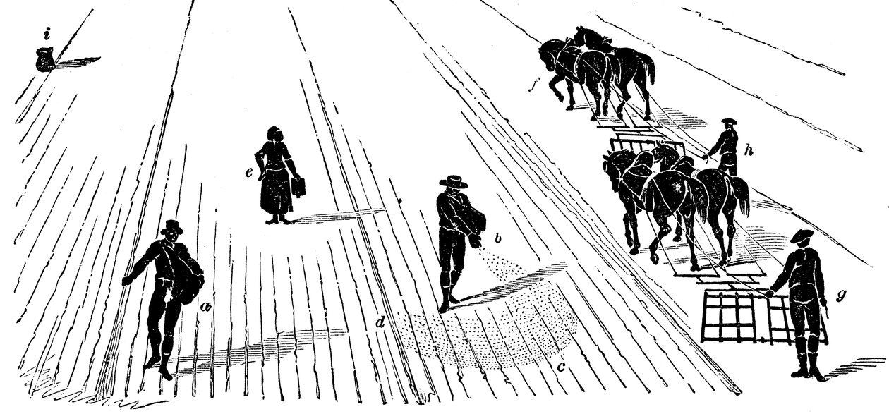 Vruchtwisseling: zaaien en eggen van maïs, 1855 door Unbekannt
