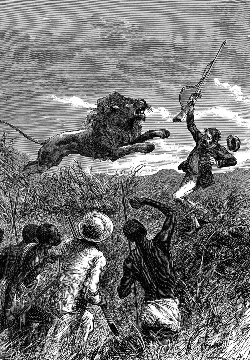 David Livingstone, Schotse missionaris en Afrikaanse ontdekkingsreiziger, aangevallen door een leeuw, ca. 1860 door Unbekannt