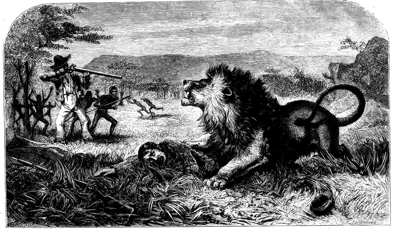 David Livingstone, gered van een leeuw door Mebalwe, een inheemse schoolmeester, 1857 door Unbekannt