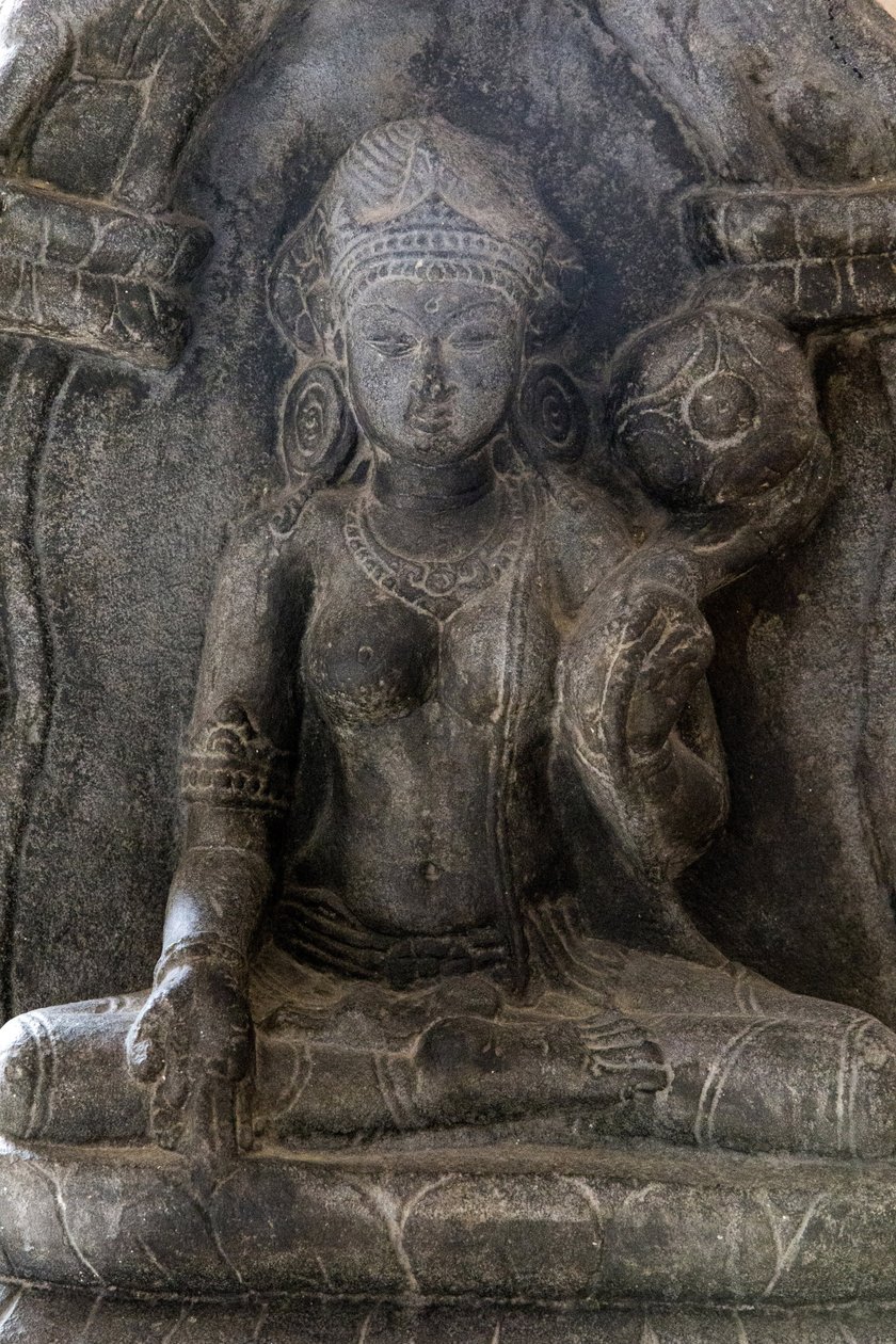 Nationaal museum van India, Delhi. Gaja-Lakshmi (olifanten die water over godin Lakshmi gieten). Pala, 9e eeuw n.Chr. Bihar. Steen. (detail). India. door Unbekannt