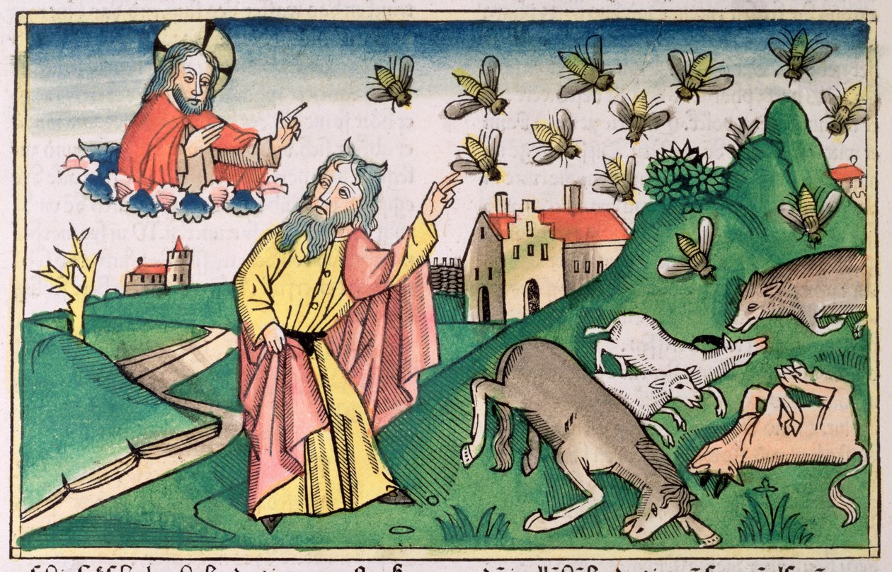 Exodus 8:20-32: Mozes en de zwerm vliegen, een van de Zeven Plagen van Egypte door Unbekannt