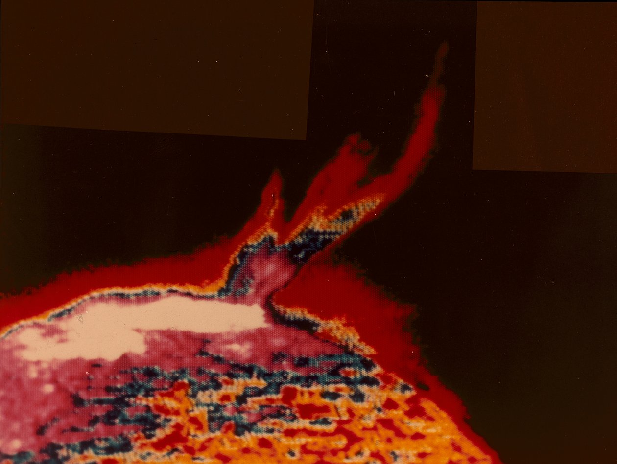 Valse kleurenbeeld van een zonnevlam van Skylab, 1973 door Unbekannt
