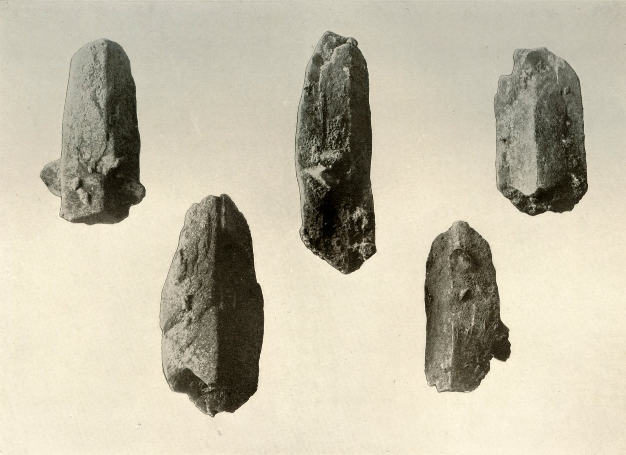 Veldspaatkristallen van de top van Mount Erebus op ware grootte, 1909 door Unbekannt