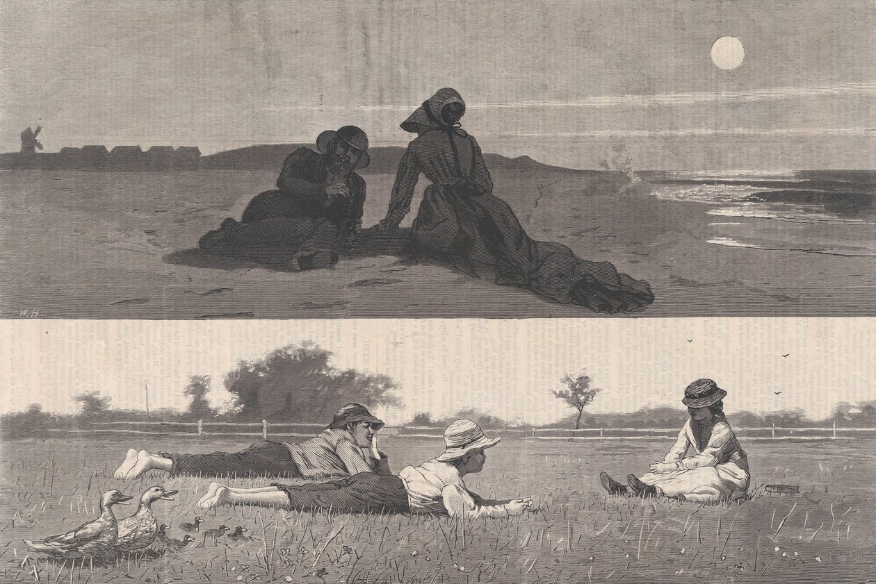 Flirten aan de kust en op de weide Harper