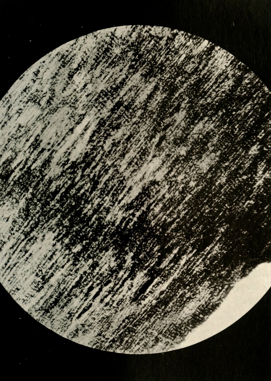 Fossiel hout in zandsteen, van een morene op breedtegraad 85° Zuid, ca. 1908 door Unbekannt