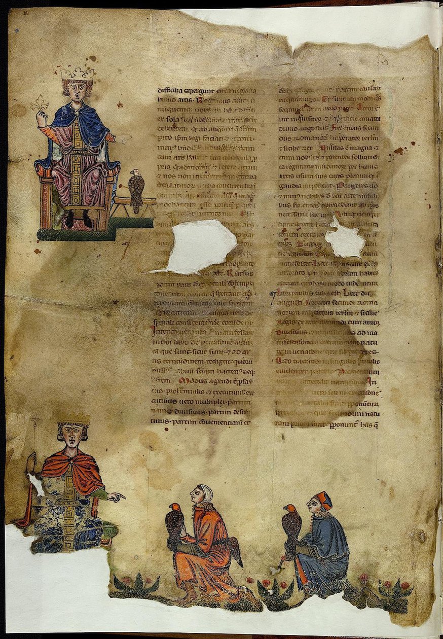 Frederik II. De Arte Venandi cum Avibus Over de Kunst van het Jagen met Vogels door Unbekannt