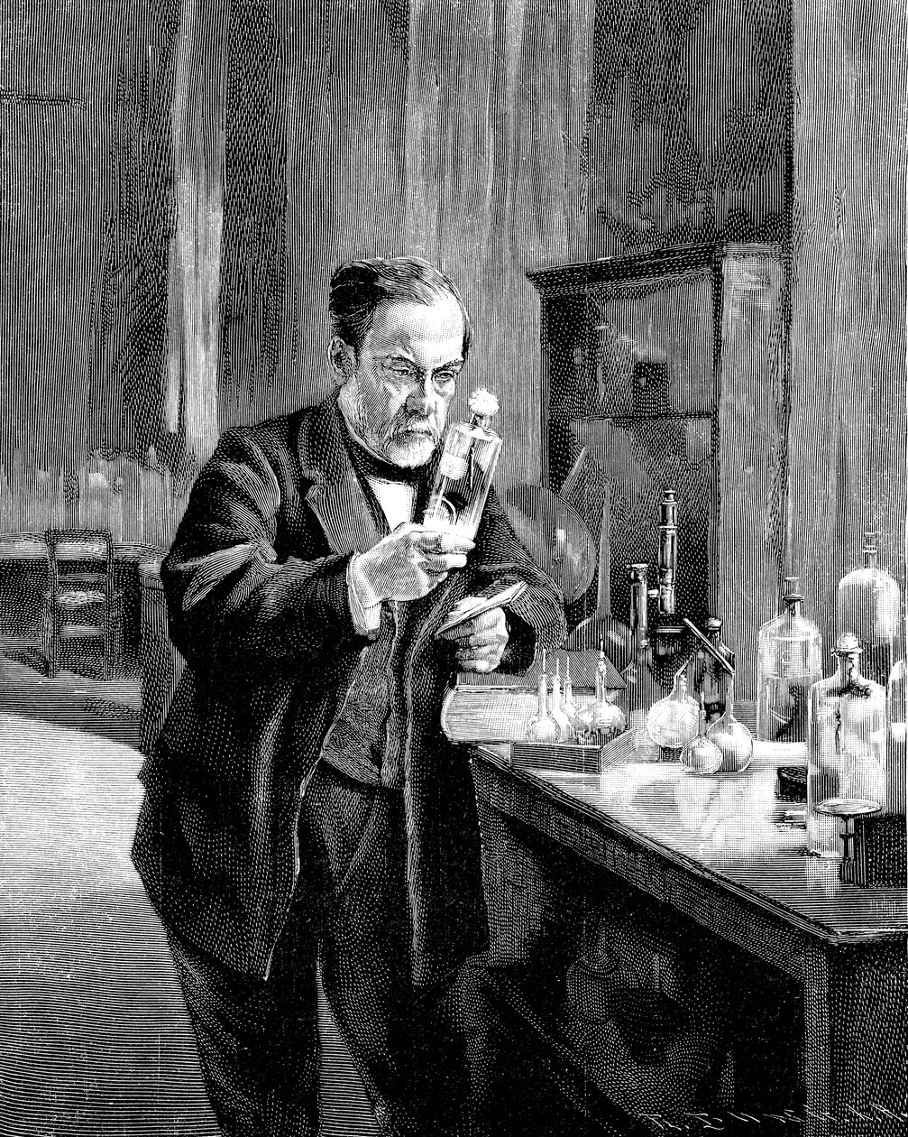 Franse chemicus en microbioloog Louis Pasteur 1822-1895 door Unbekannt