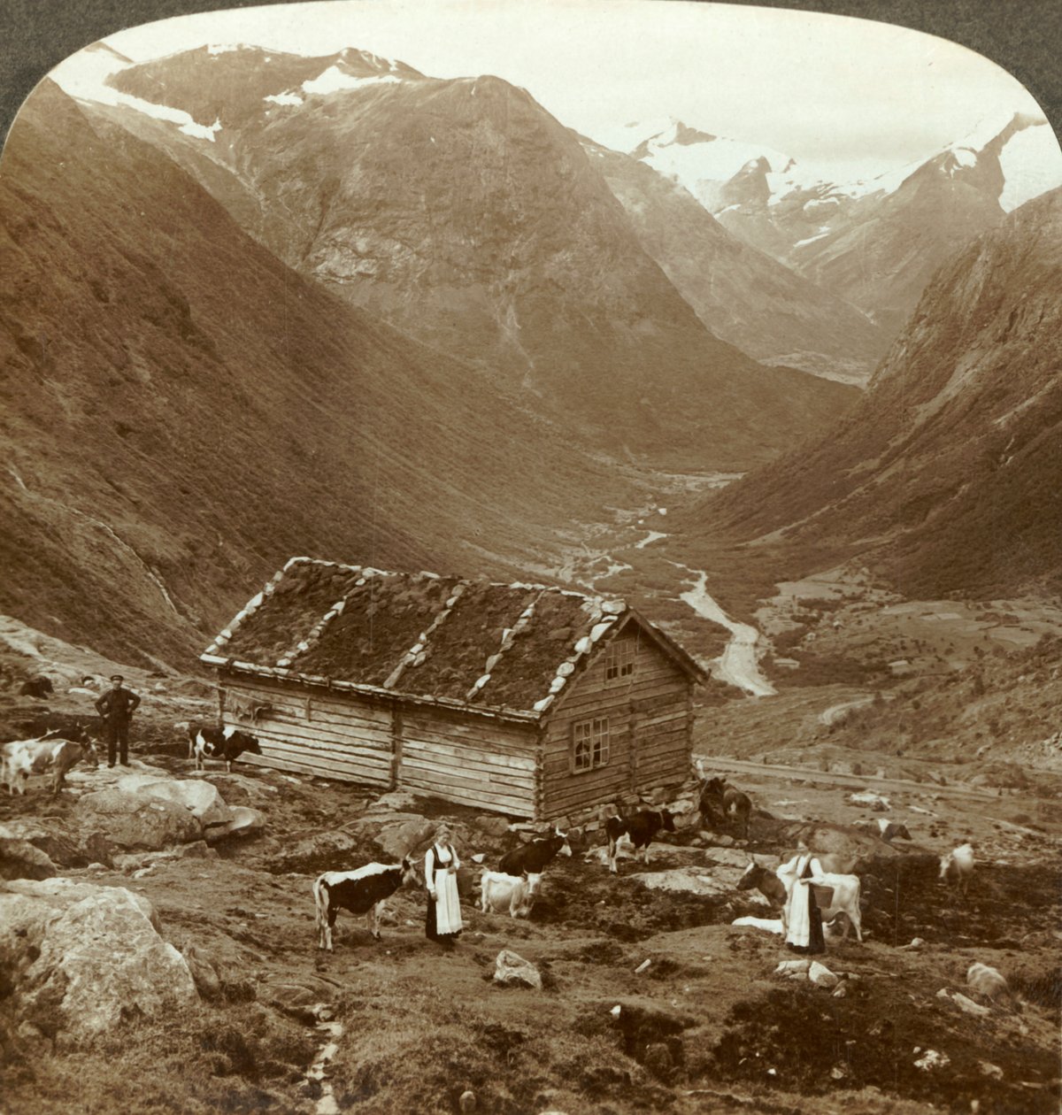 Vanaf de bergherberg bij Vidde saeter naar beneden de Vidde vallei - Mt. Skaala in de verte rechts, ca. 1905 door Unbekannt