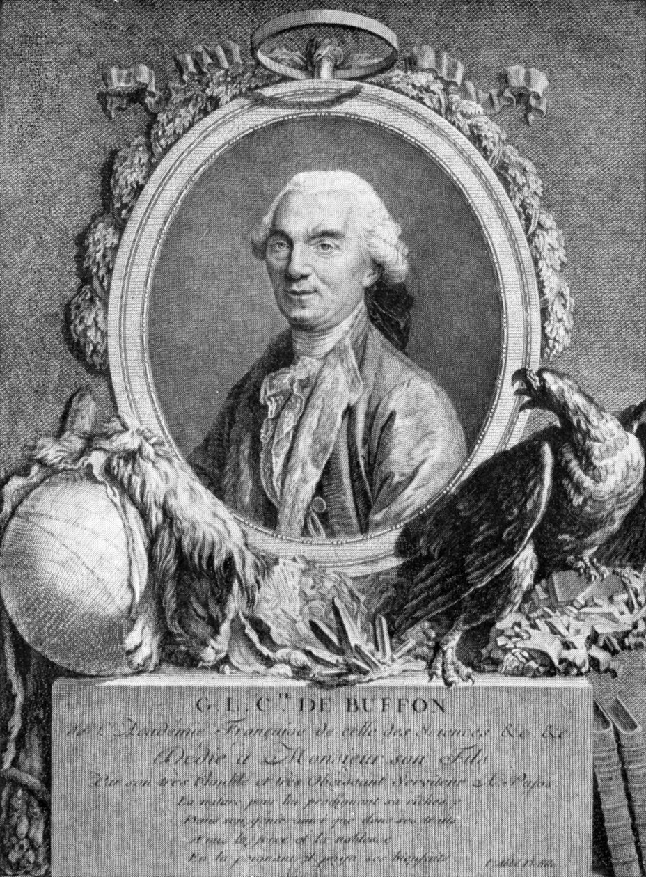 Georges-Louis Leclerc, Graaf van Buffon, Franse natuuronderzoeker, 18e eeuw door Unbekannt