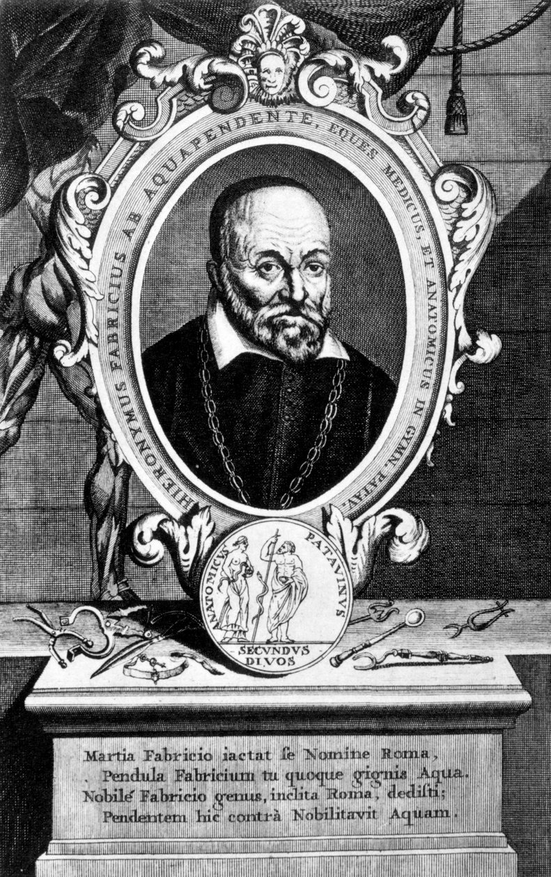 Girolamo Fabrici, Italiaanse anatoom en chirurg, 17e eeuw door Unbekannt