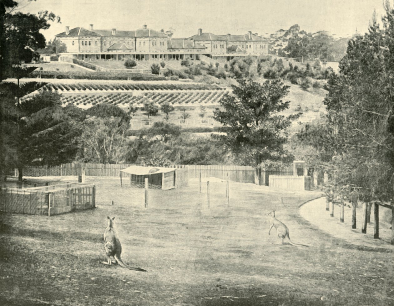 Gladesville Asylum voor de krankzinnigen, New South Wales, 1901 door Unbekannt