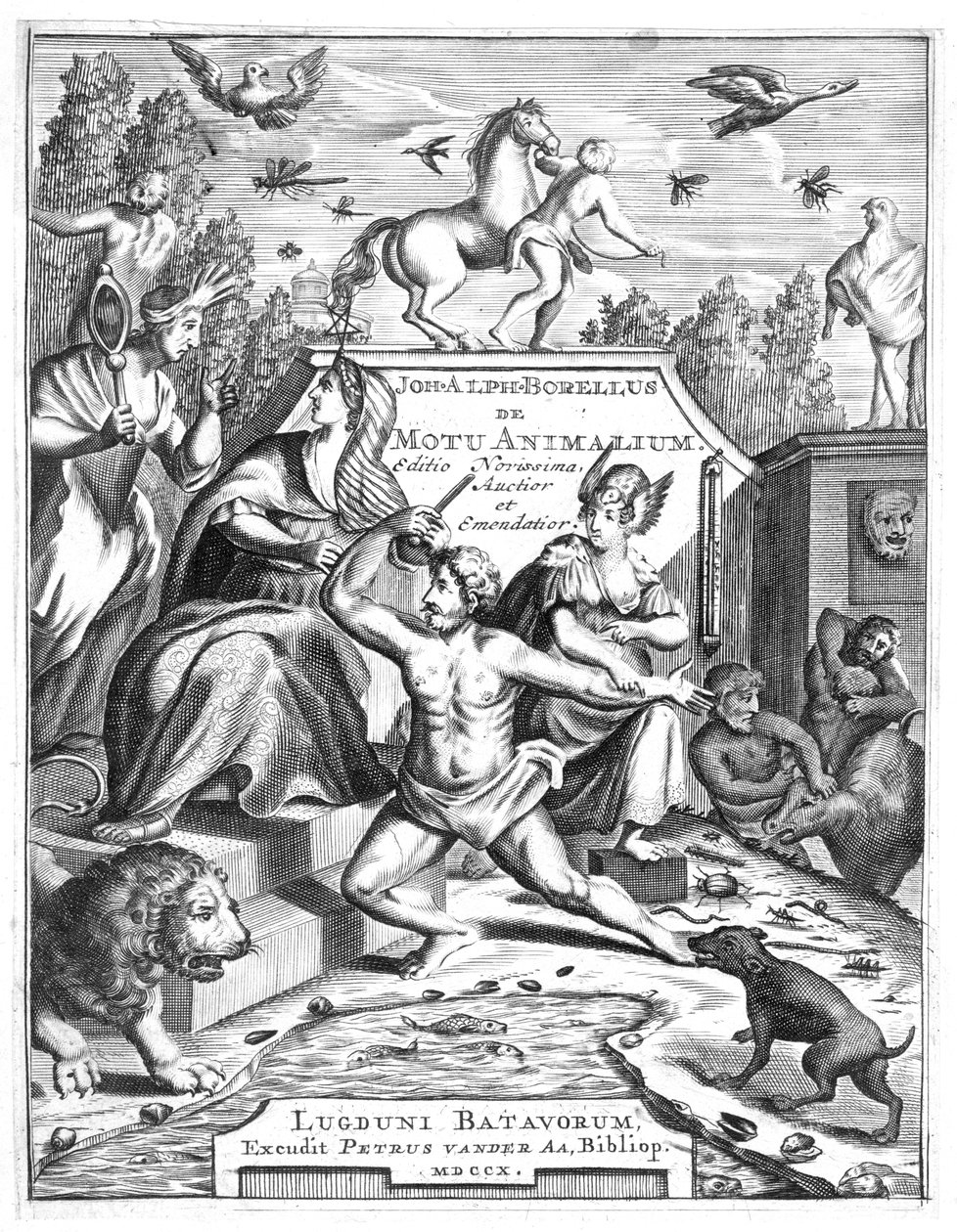 Halftitel van De Motu Animalum door Giovanni Borelli, 1710 door Unbekannt
