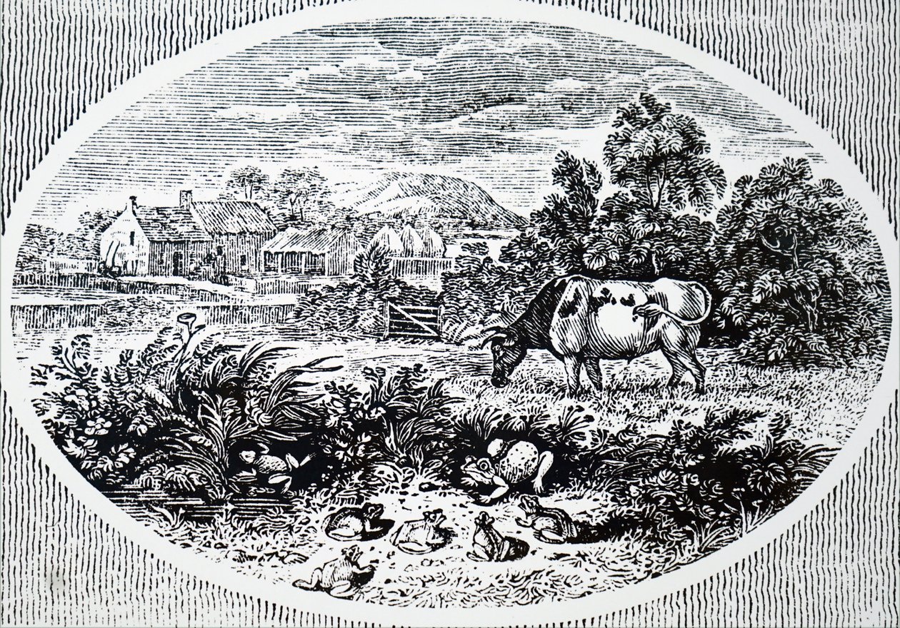 Hoofdstuk door Thomas Bewick door Unbekannt