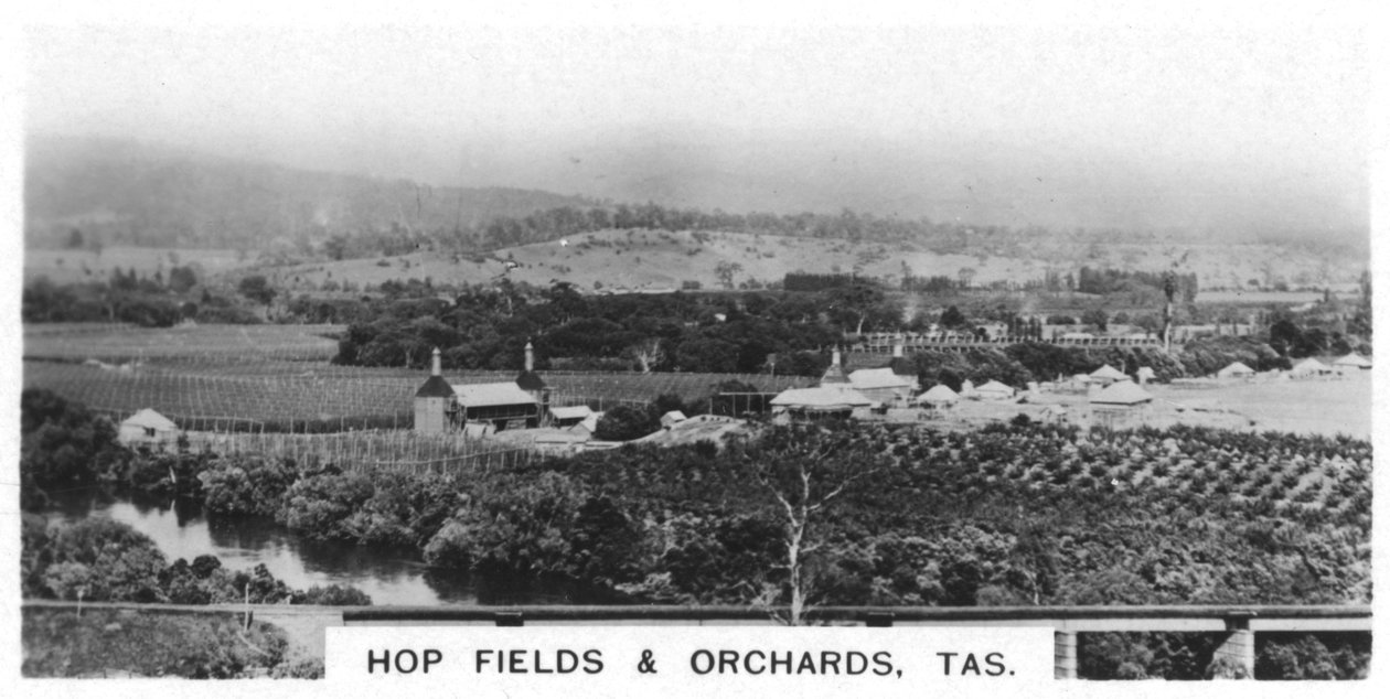 Hopvelden en boomgaarden, Tasmanië, Australië, 1928 door Unbekannt